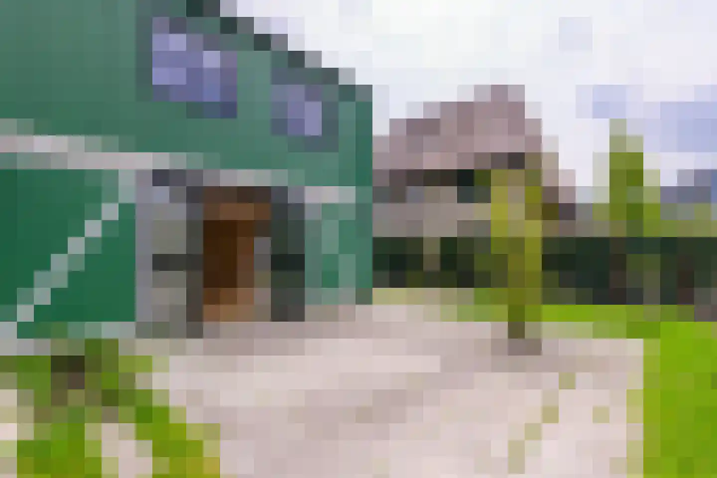 Grote Lijster 11 Muiden thumbnail 25