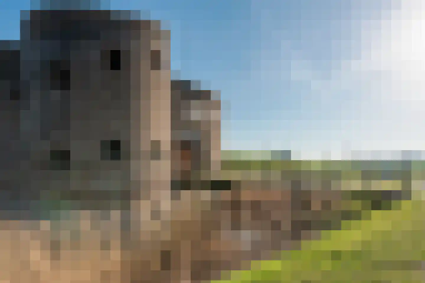 Grote Lijster 11 Muiden thumbnail 42