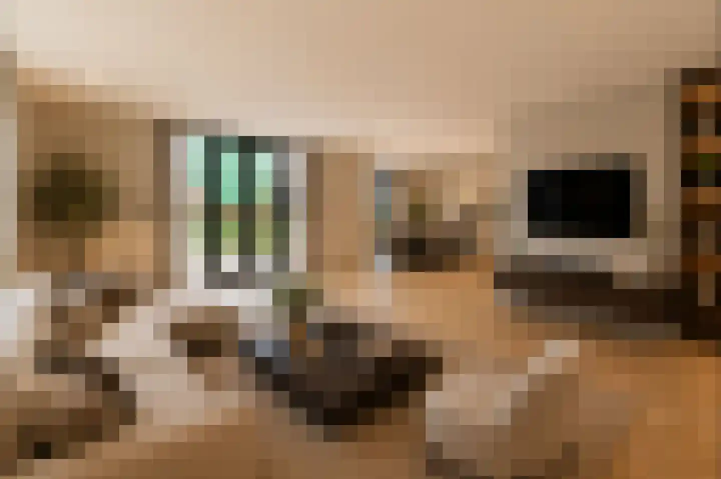 Grote Lijster 11 Muiden thumbnail 5