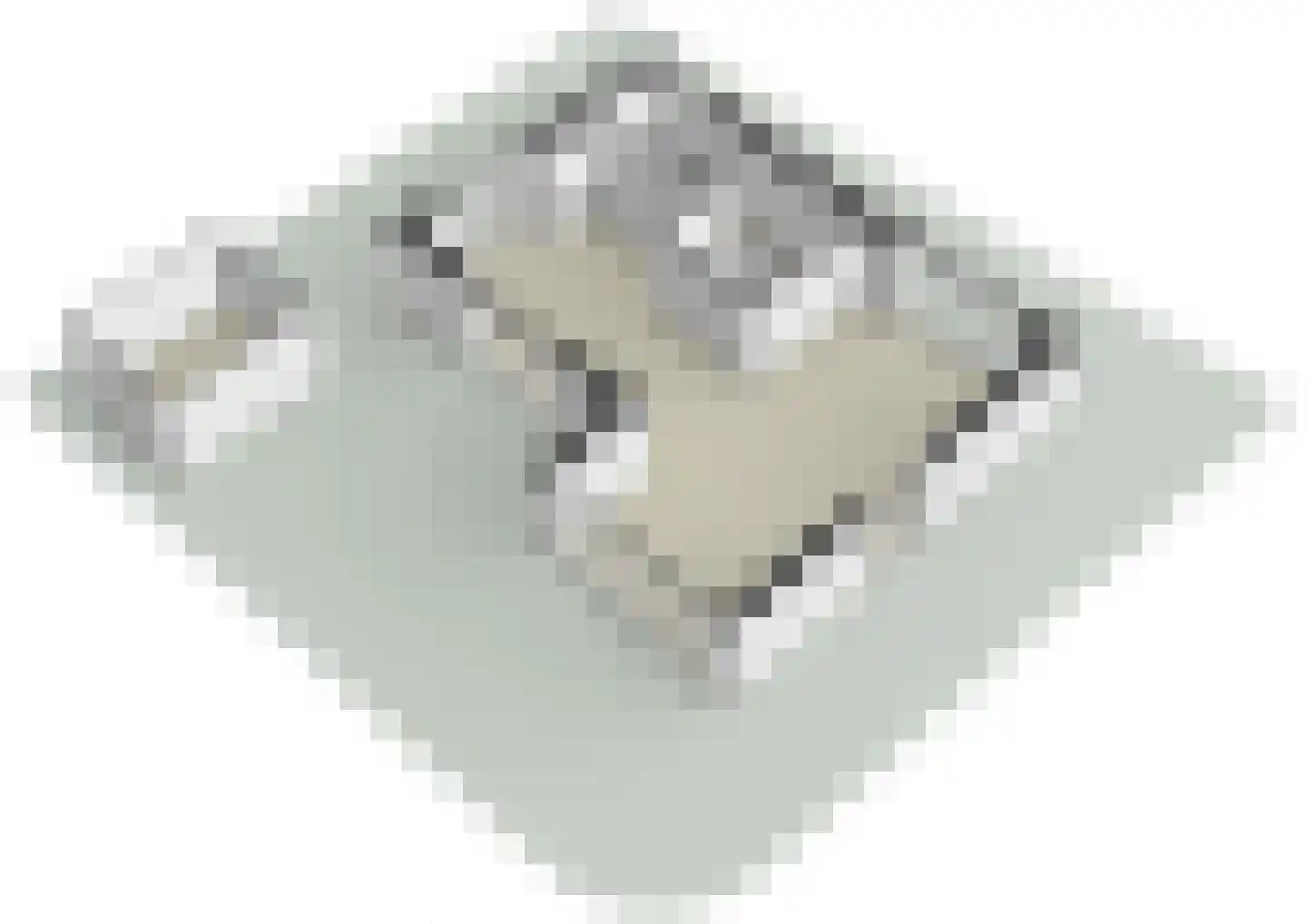 Grote Lijster 17 Muiden thumbnail 26