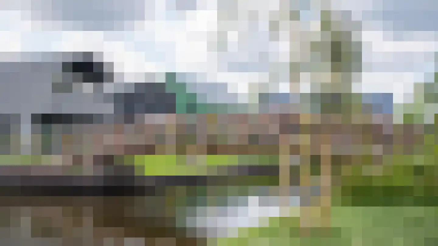 Grote Lijster 17 Muiden thumbnail 33
