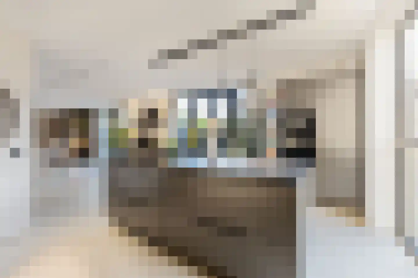Grote Lijster 22 Muiden thumbnail 12