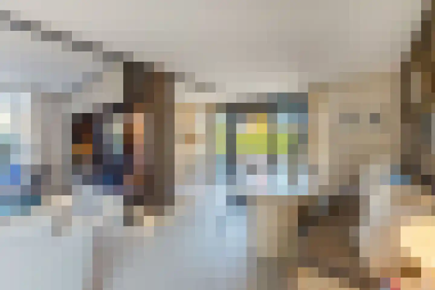 Grote Lijster 22 Muiden thumbnail 16