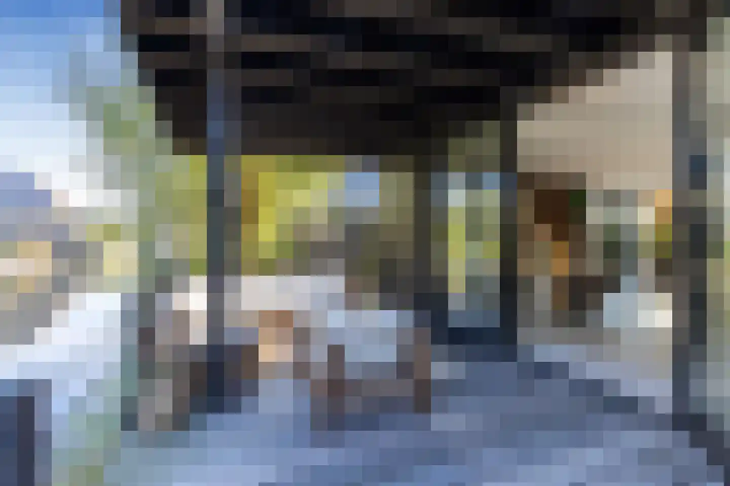 Grote Lijster 22 Muiden thumbnail 19