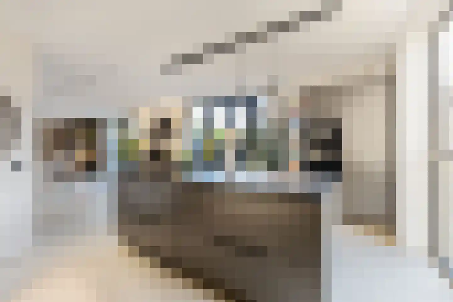 Grote Lijster 22 Muiden thumbnail 4