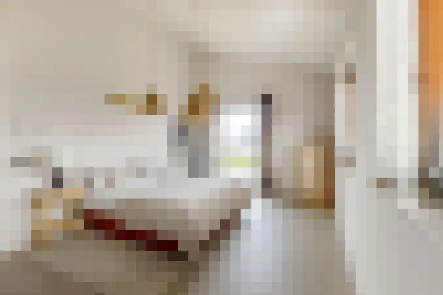 Grote Lijster 22 Muiden thumbnail 5
