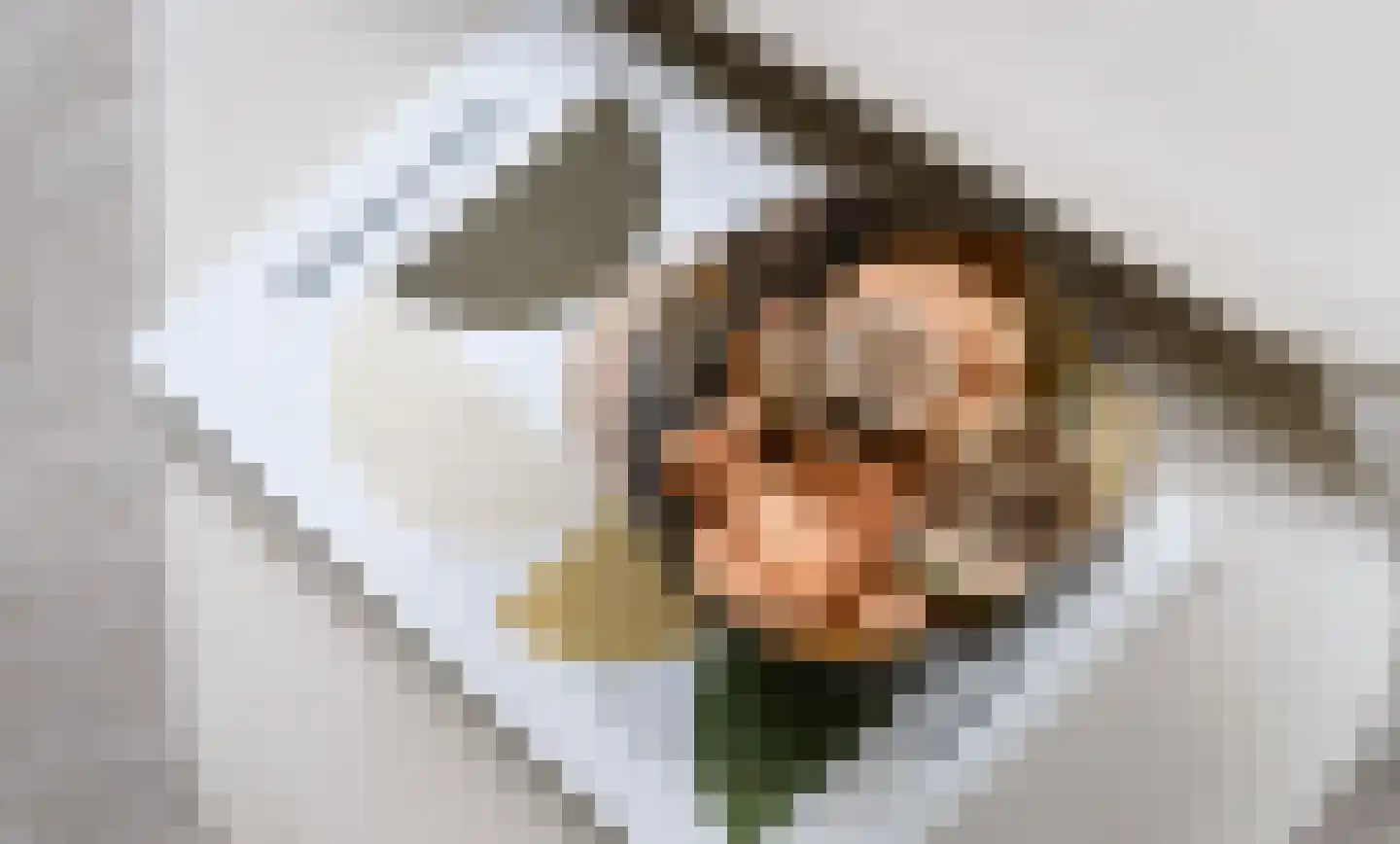 Grote Lijster 3 Muiden thumbnail 10