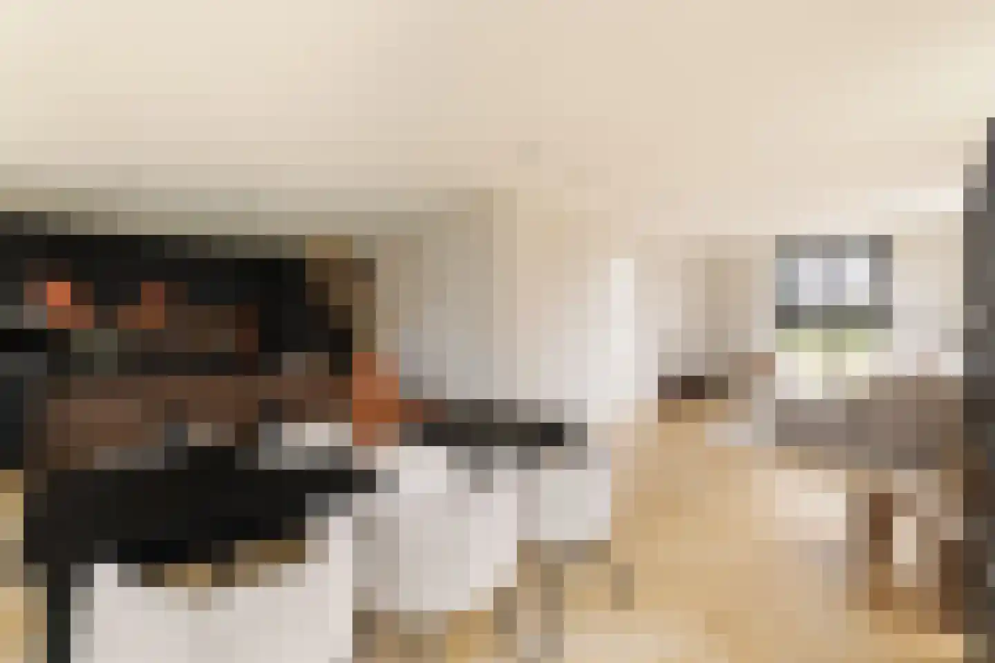 Grote Lijster 3 Muiden thumbnail 13