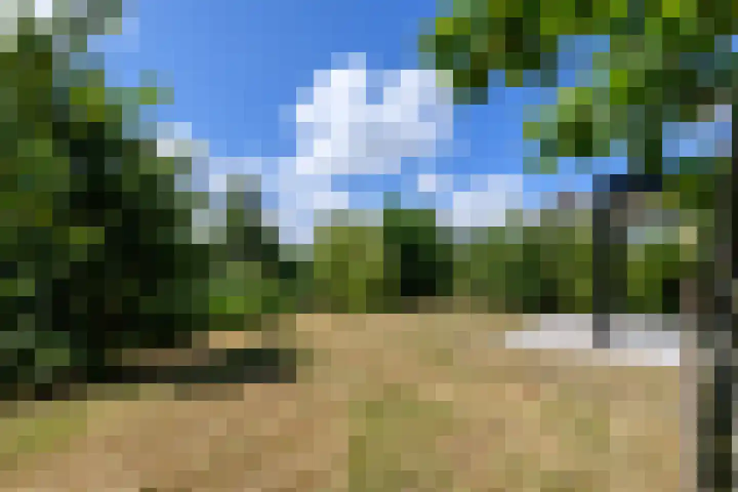 Grote Lijster 3 Muiden thumbnail 35