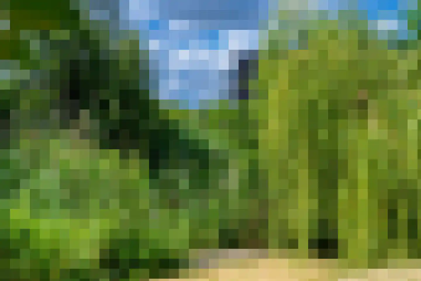 Grote Lijster 3 Muiden thumbnail 37