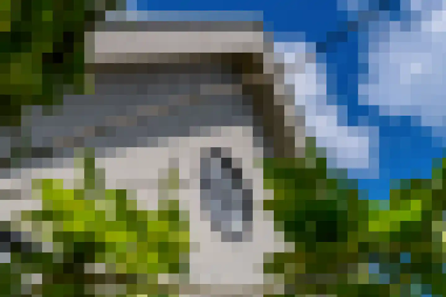 Grote Lijster 3 Muiden thumbnail 44