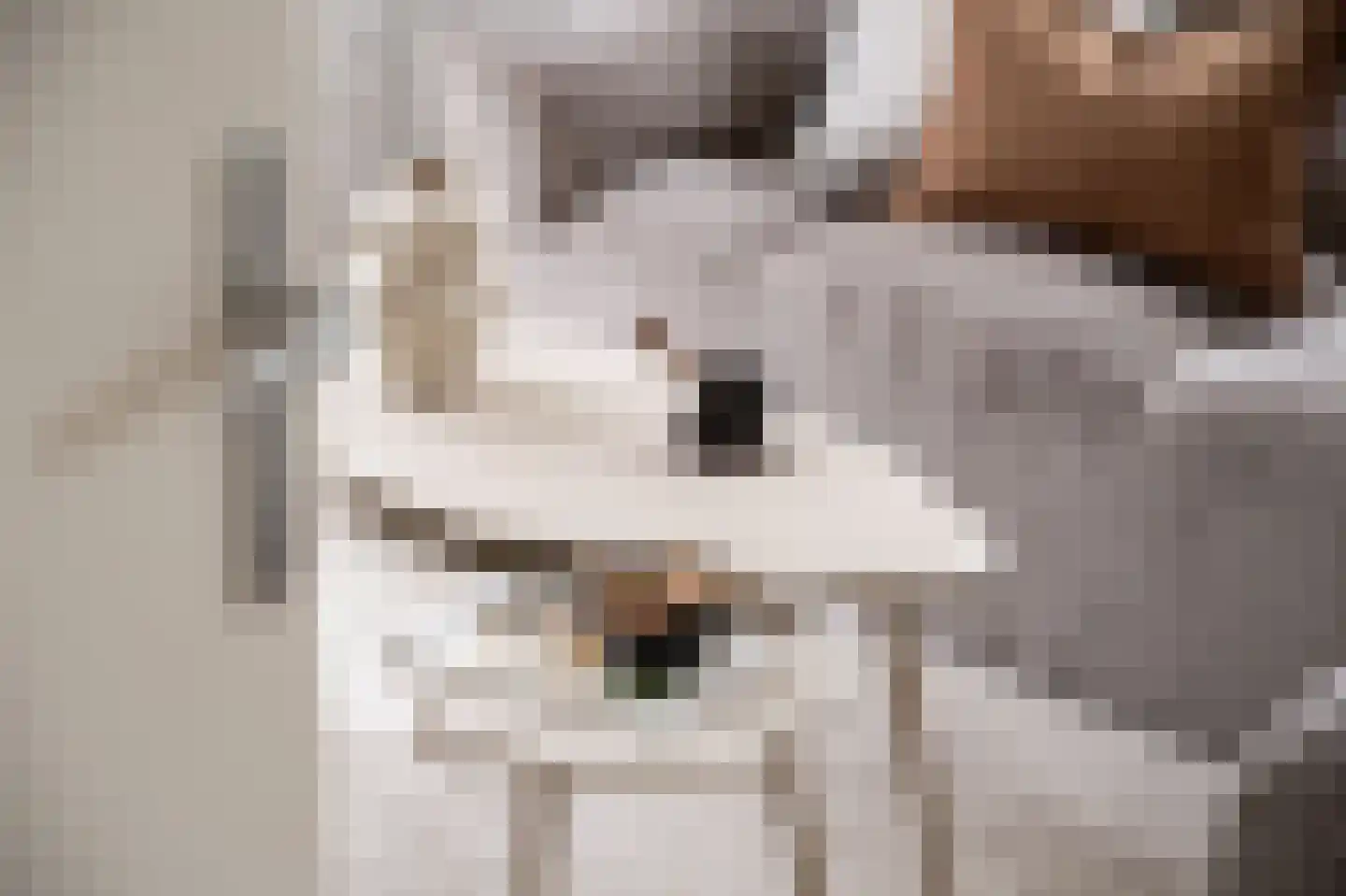 Grote Lijster 3 Muiden thumbnail 5