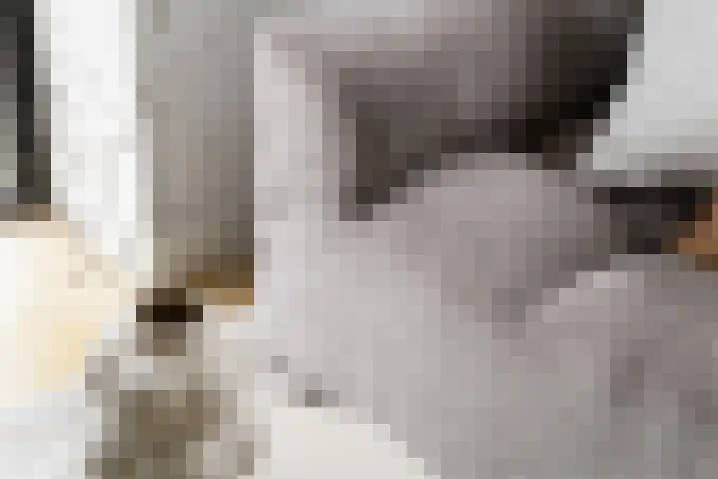 Grote Lijster 3 Muiden thumbnail 8