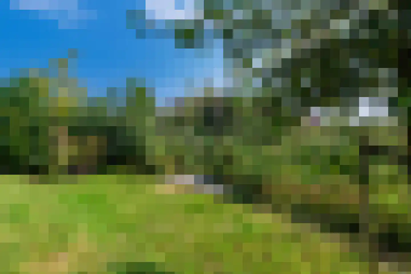 Grote Lijster 5 Muiden thumbnail 16