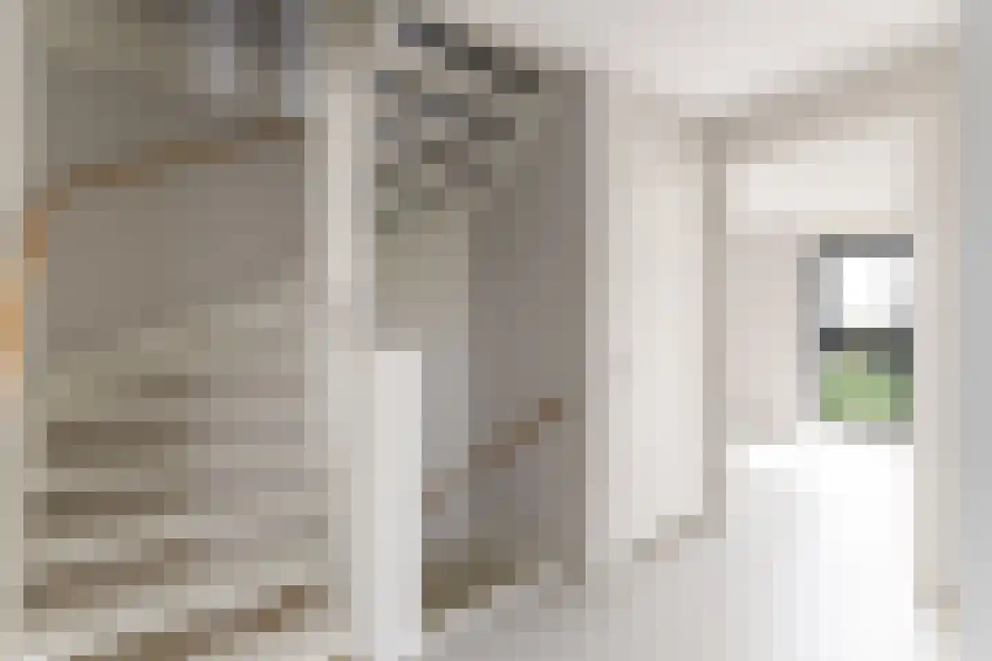 Grote Lijster 5 Muiden thumbnail 26