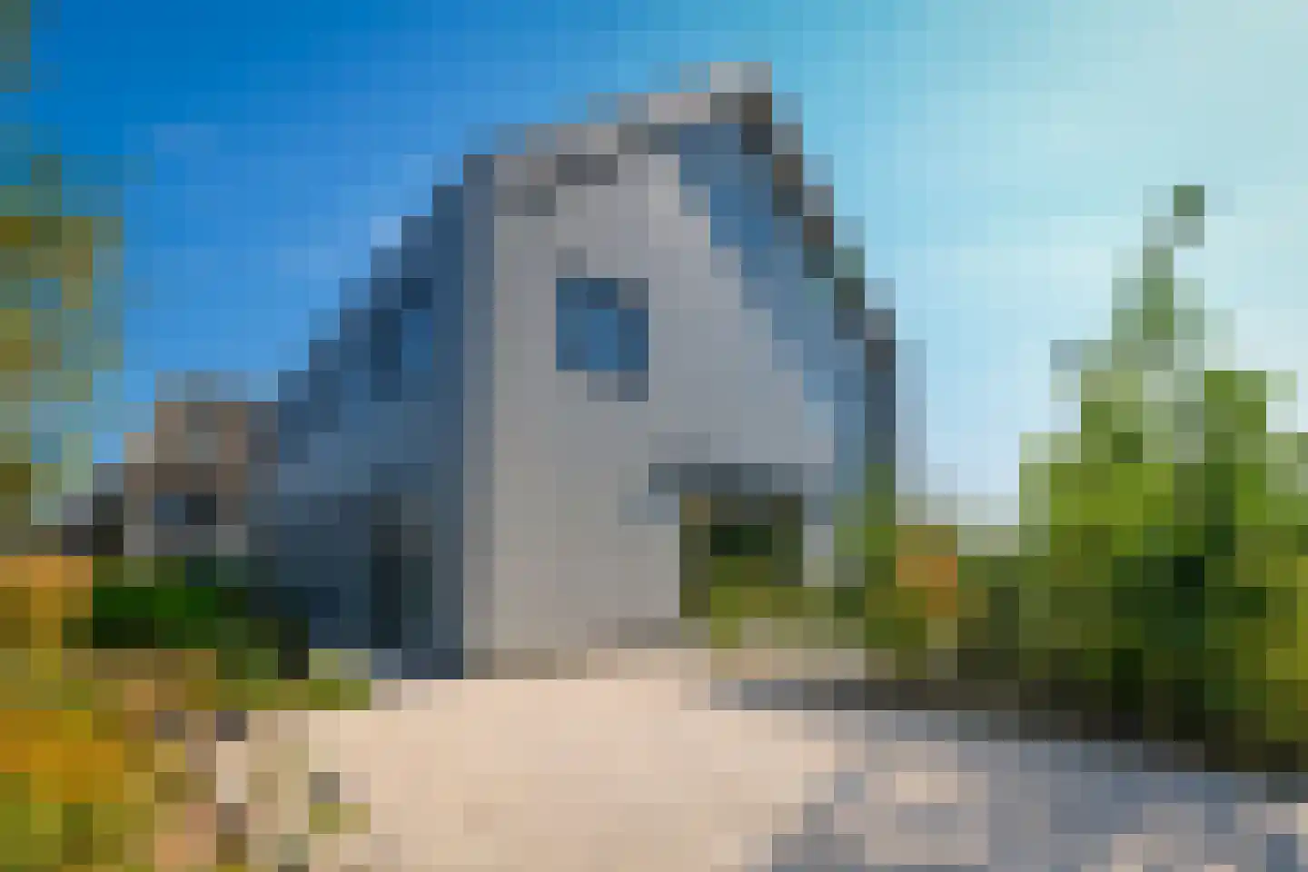 Grote Lijster 5 Muiden thumbnail 29
