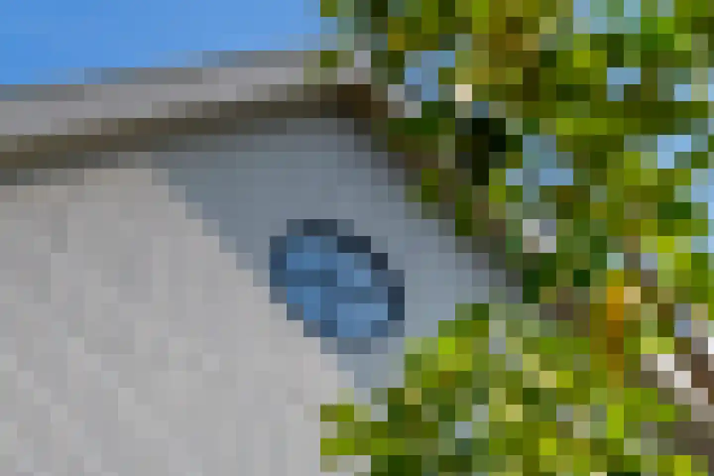 Grote Lijster 5 Muiden thumbnail 30