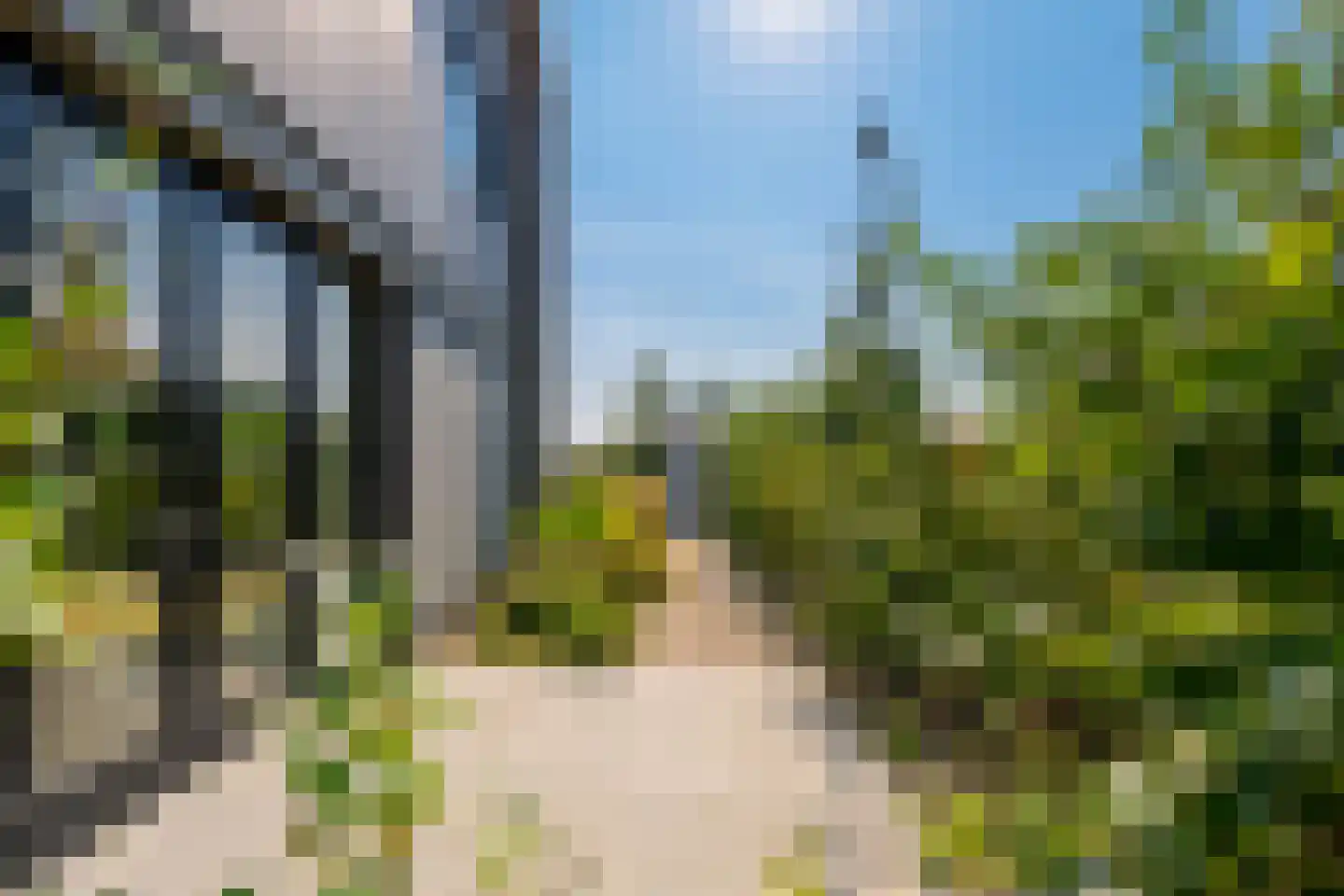 Grote Lijster 5 Muiden thumbnail 6