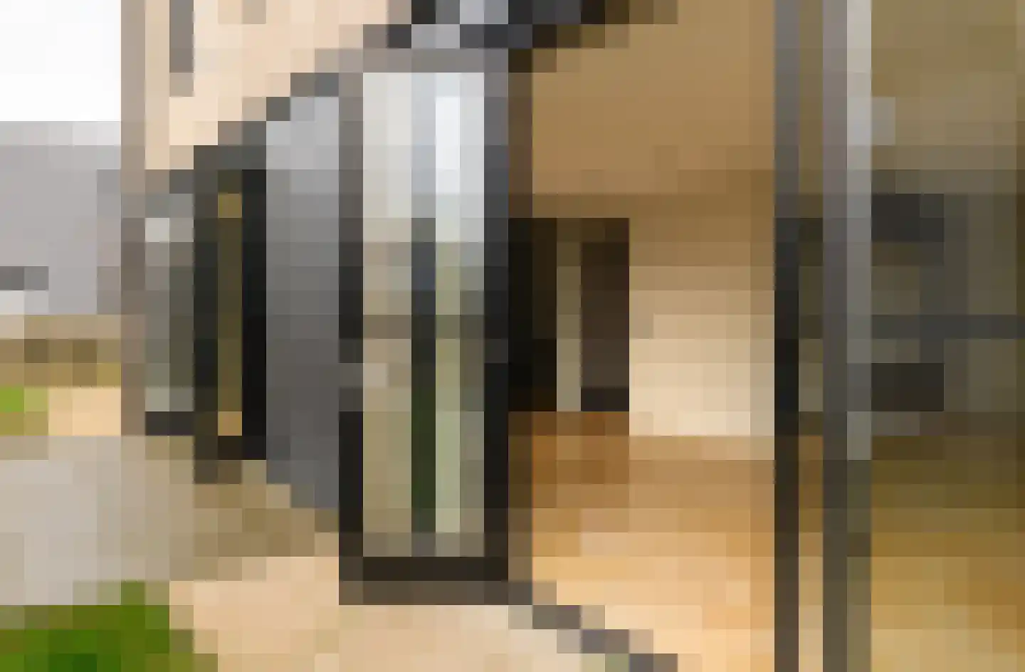 Grote Lijster 7 Muiden thumbnail 10
