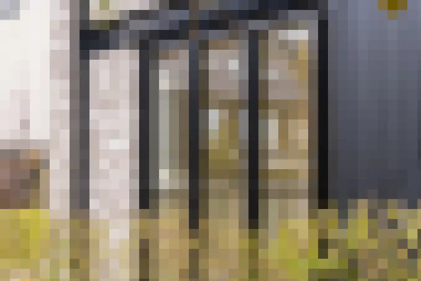 Grote Lijster 7 Muiden thumbnail 28
