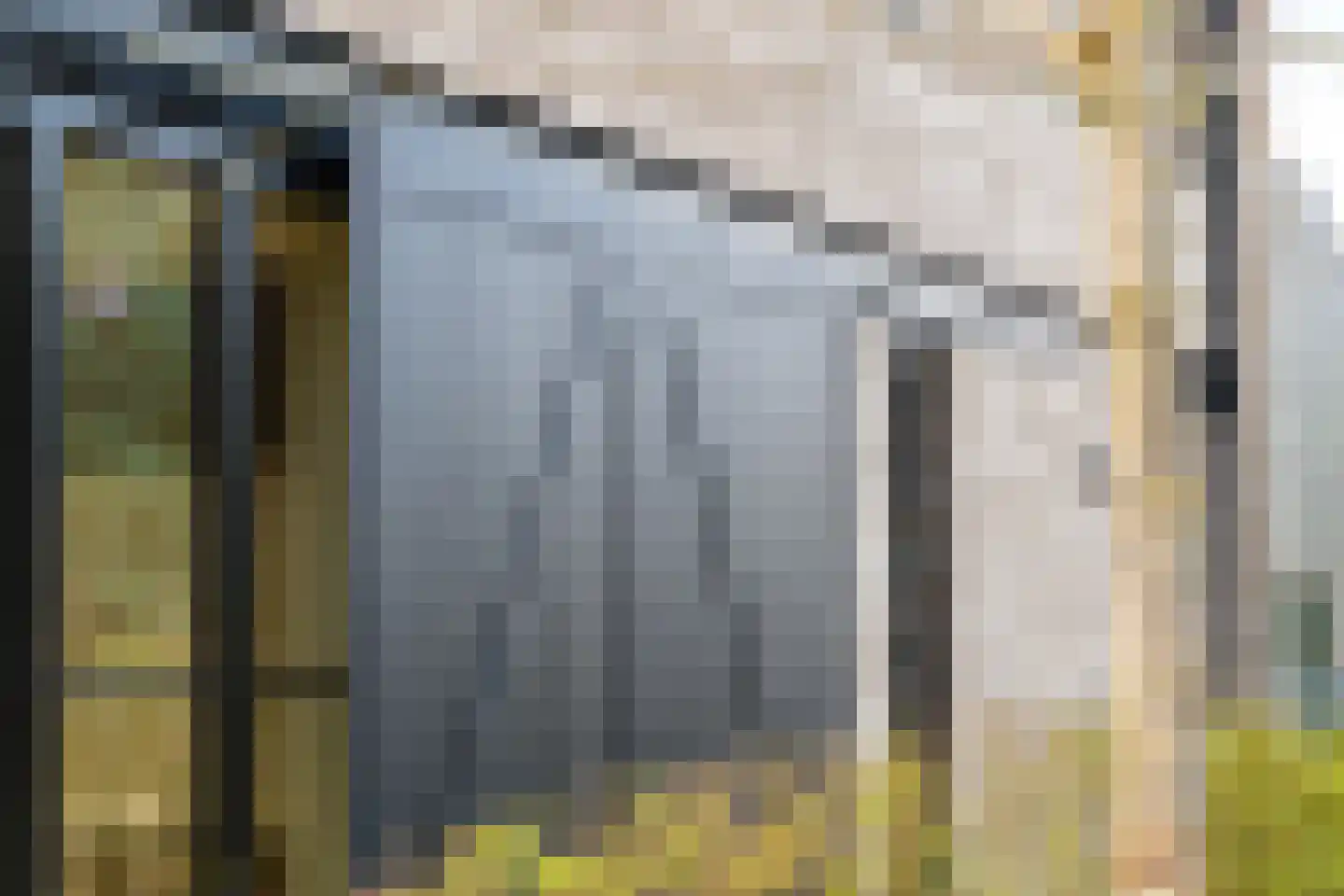 Grote Lijster 7 Muiden thumbnail 29