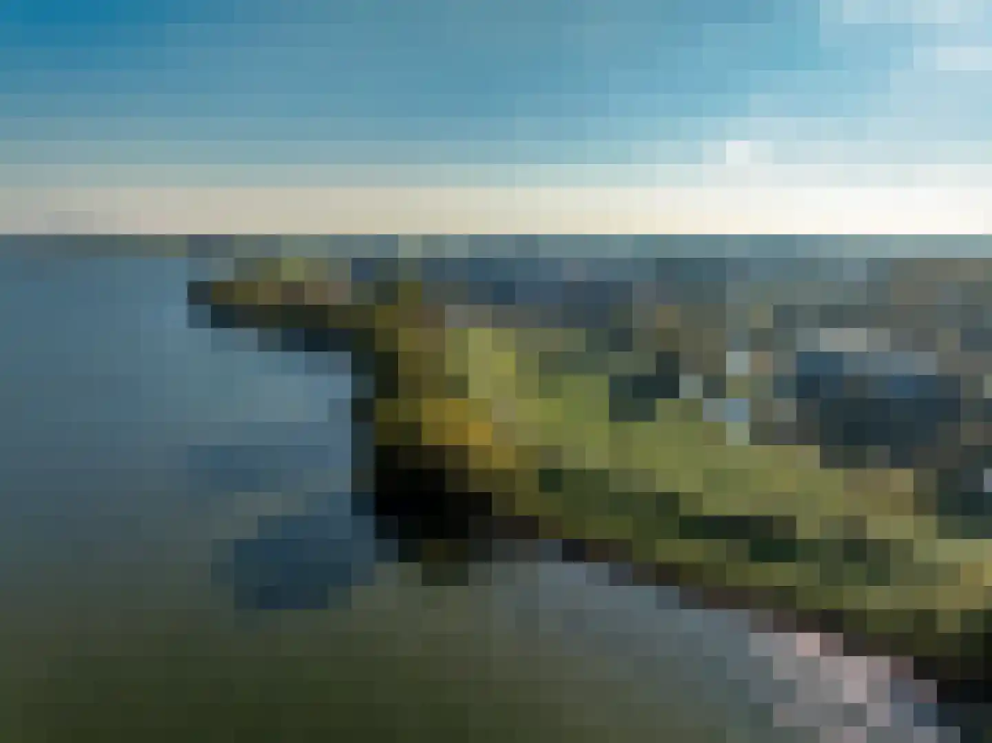 Grote Lijster 7 Muiden thumbnail 36