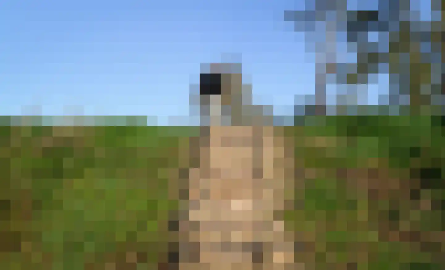 Grote Lijster 7 Muiden thumbnail 37