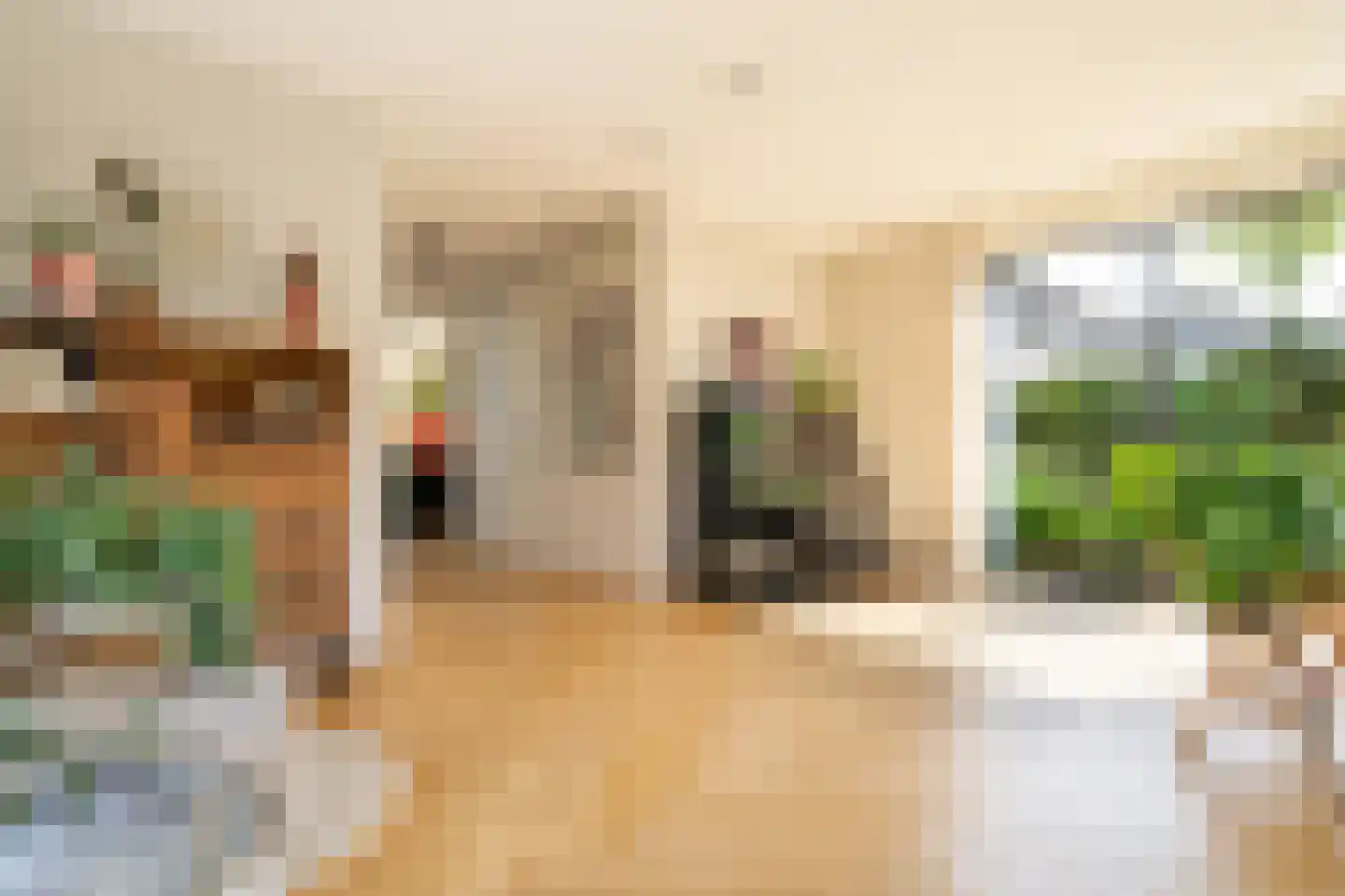 Grote Lijster 9 Muiden thumbnail 13