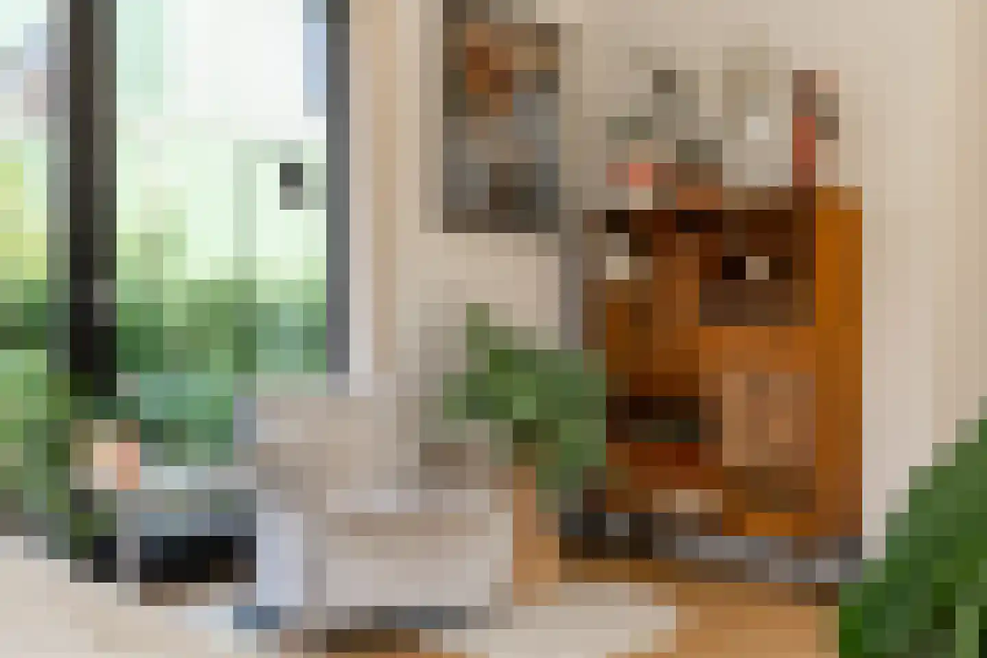 Grote Lijster 9 Muiden thumbnail 14