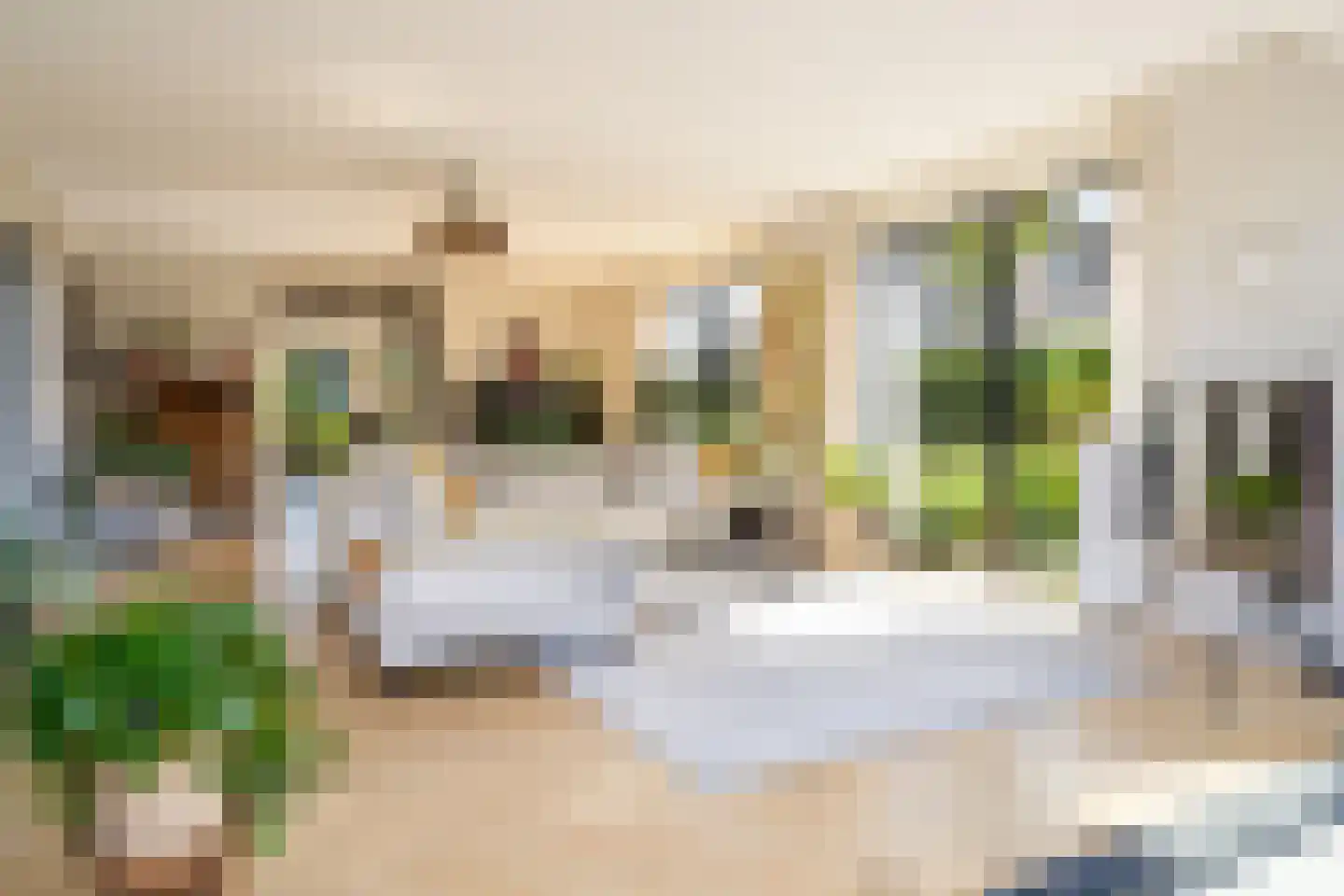 Grote Lijster 9 Muiden thumbnail 16