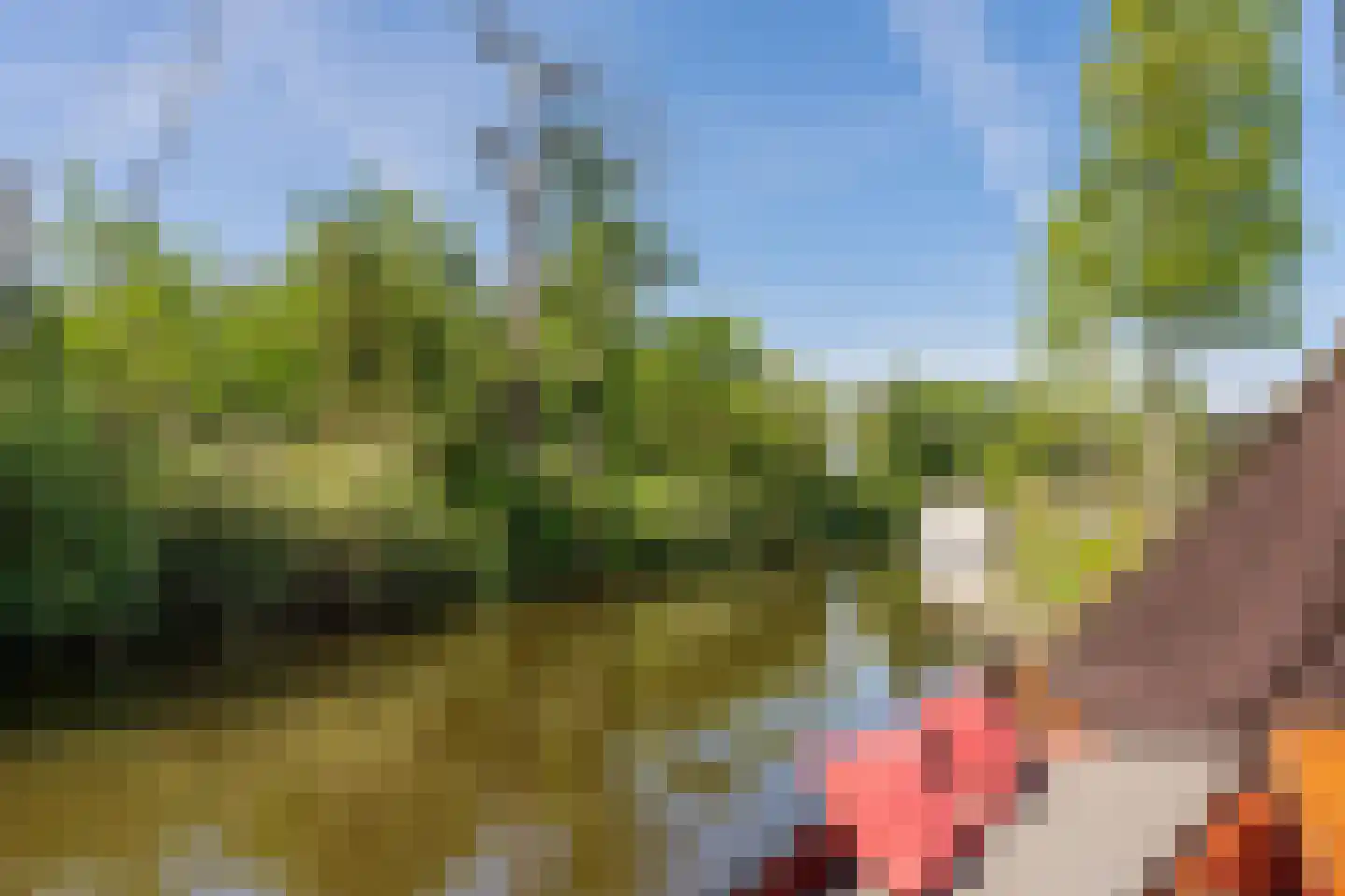 Grote Lijster 9 Muiden thumbnail 27