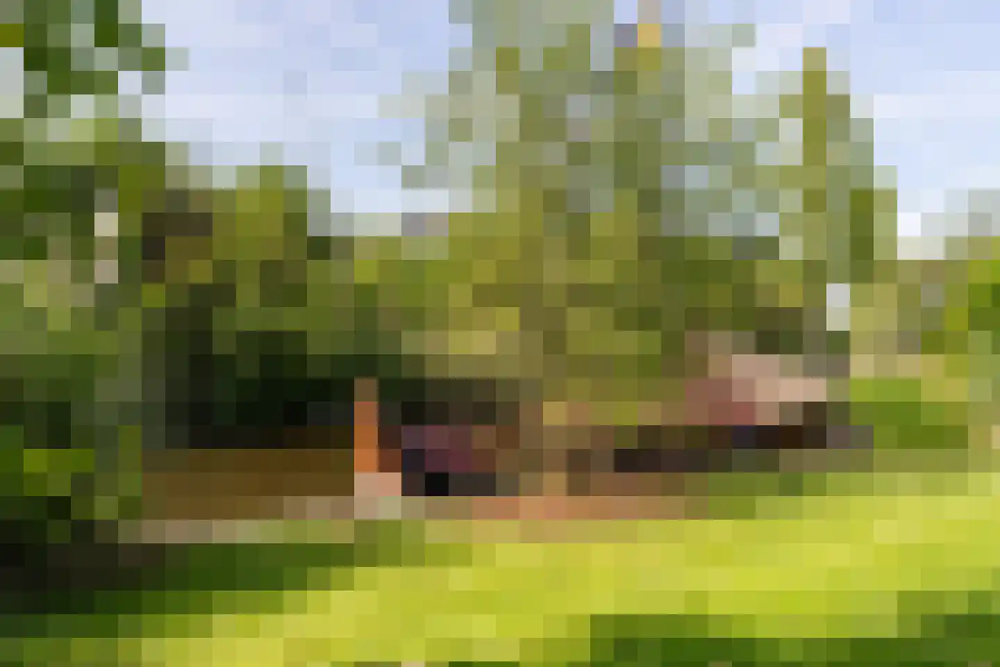 Grote Lijster 9 Muiden thumbnail 28
