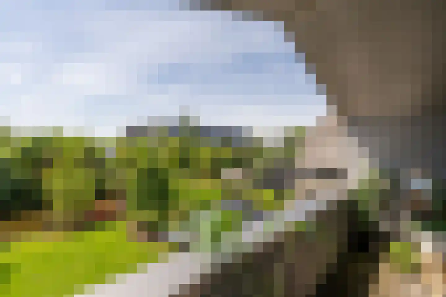 Grote Lijster 9 Muiden thumbnail 36