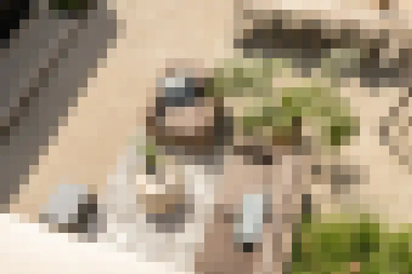 Grote Lijster 9 Muiden thumbnail 38