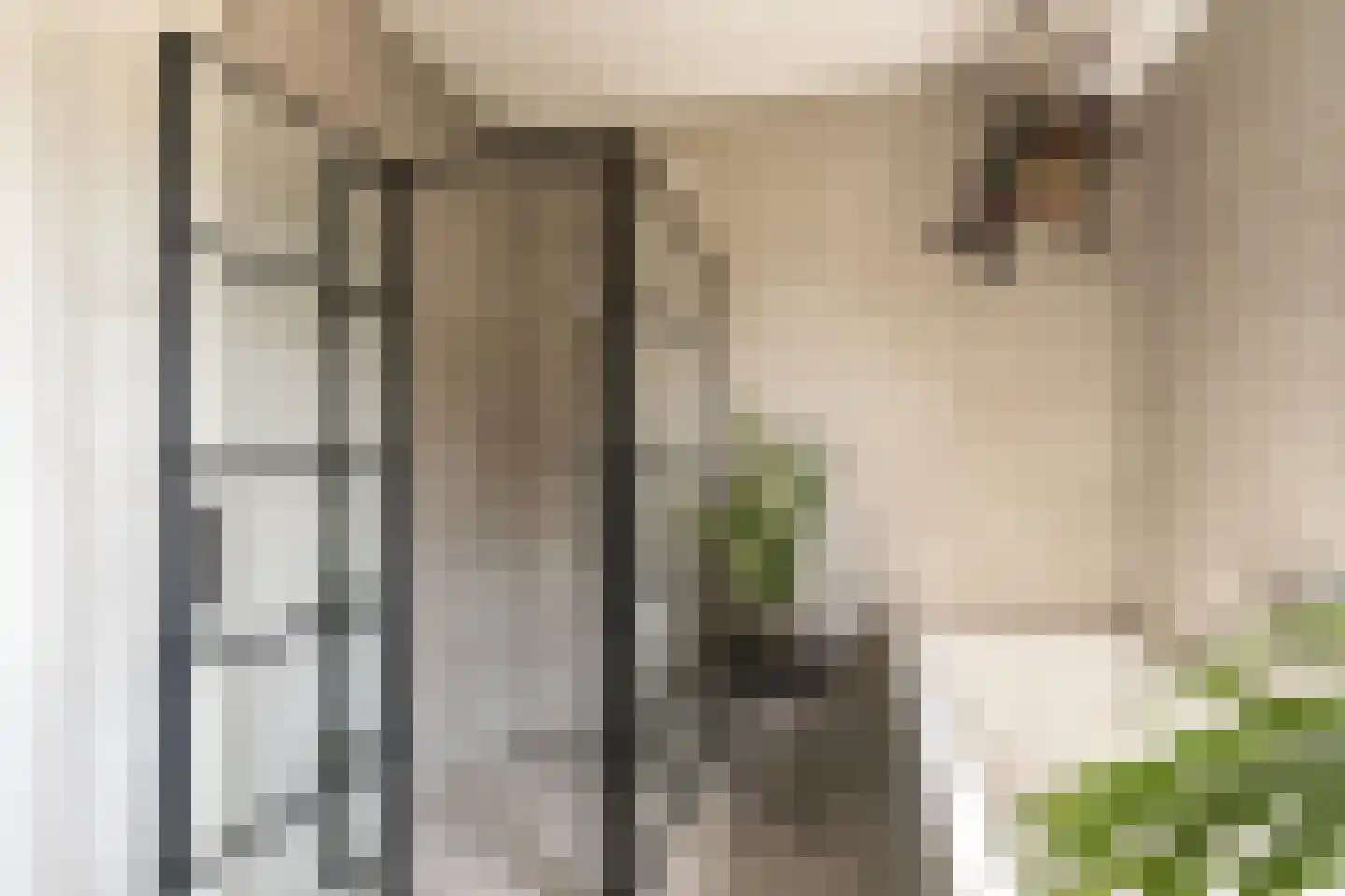 Grote Lijster 9 Muiden thumbnail 44