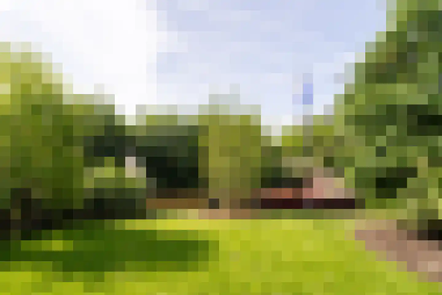 Grote Lijster 9 Muiden thumbnail 5
