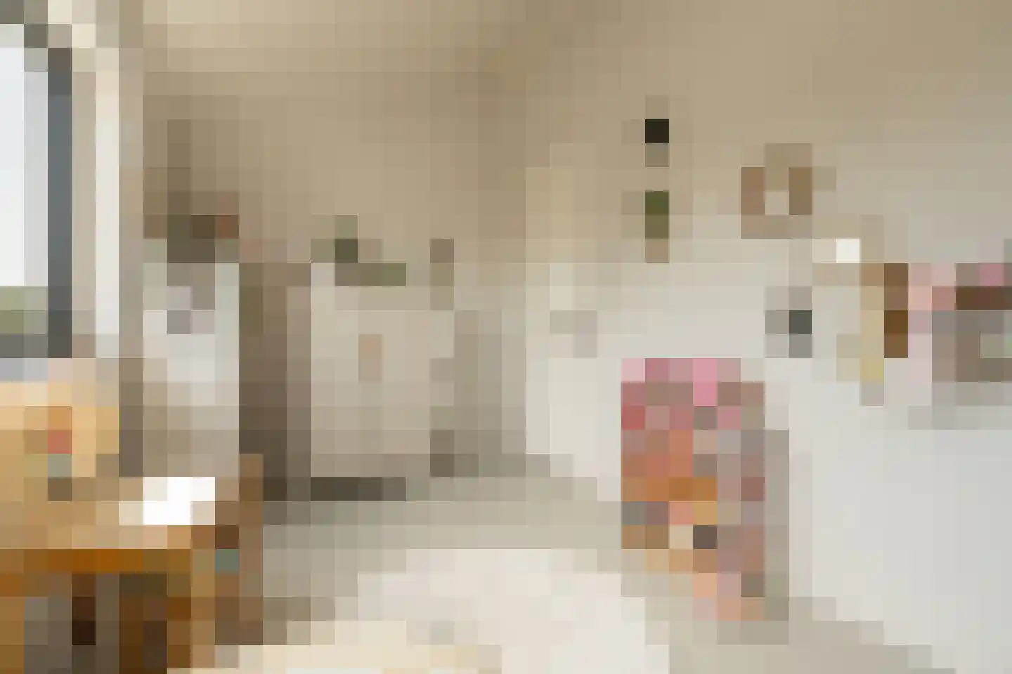 Grote Lijster 9 Muiden thumbnail 53