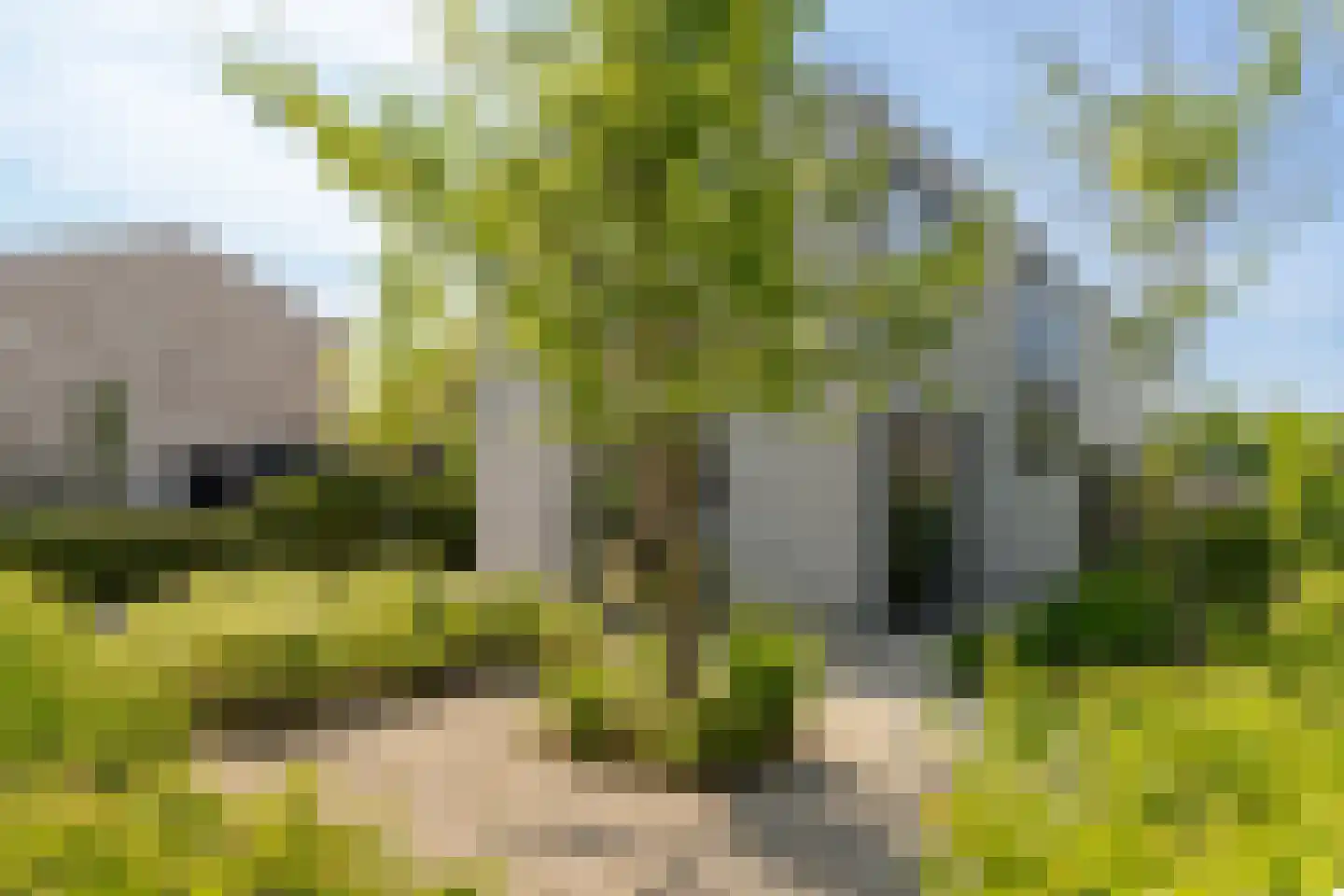 Grote Lijster 9 Muiden thumbnail 59