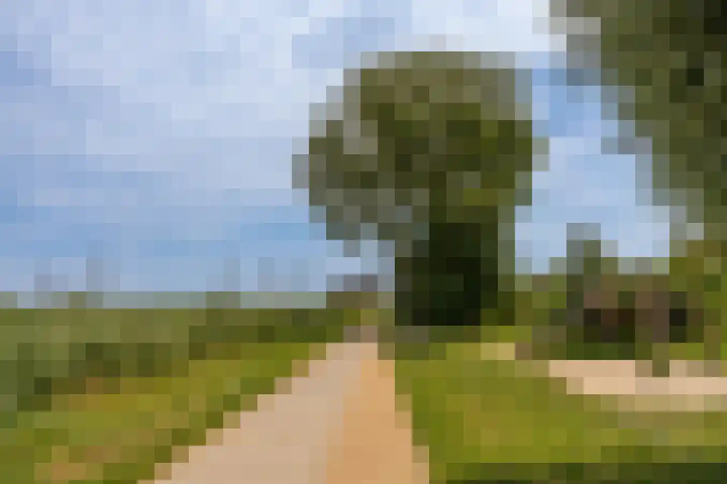 Grote Lijster 9 Muiden thumbnail 64