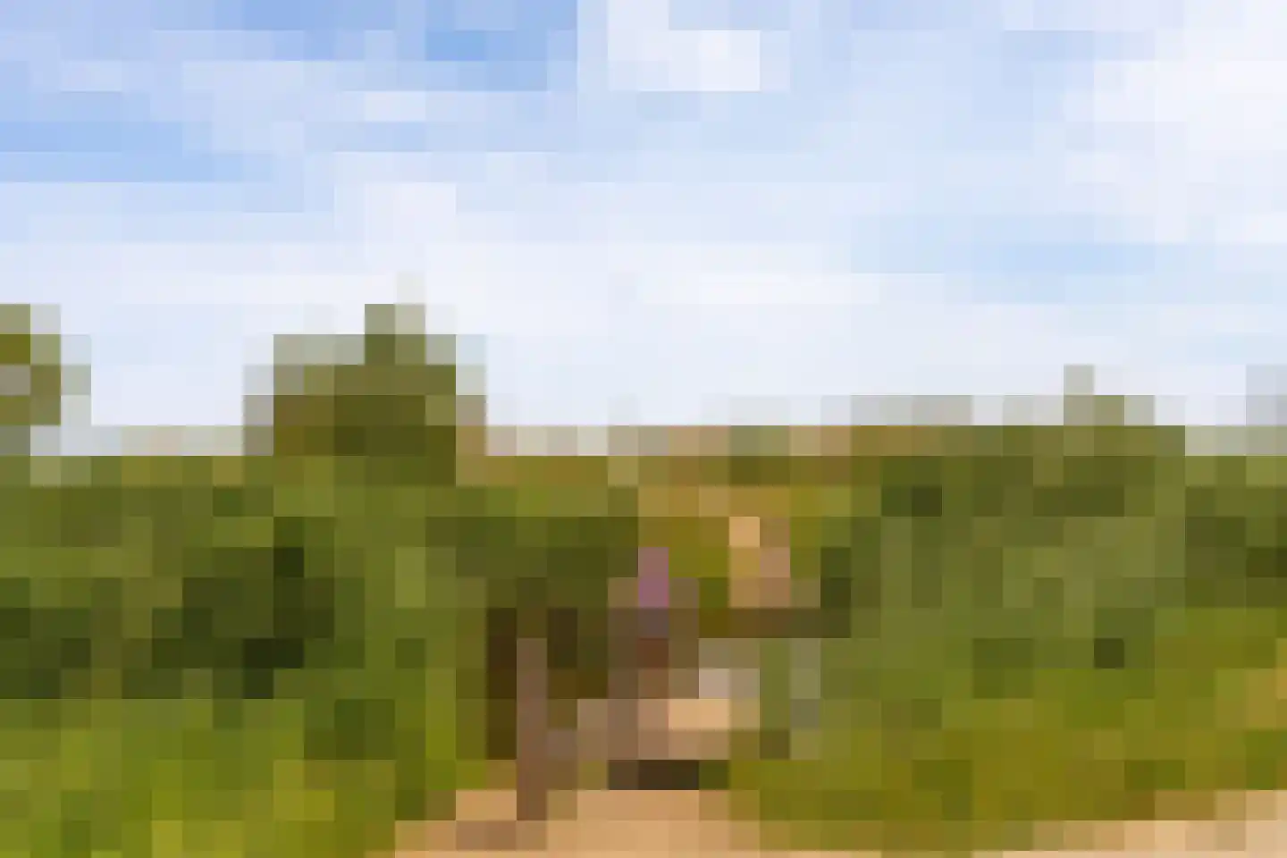 Grote Lijster 9 Muiden thumbnail 66