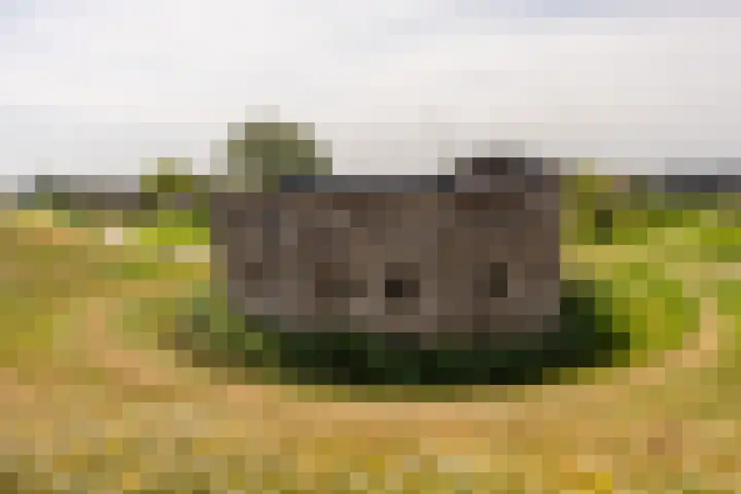 Grote Lijster 9 Muiden thumbnail 70