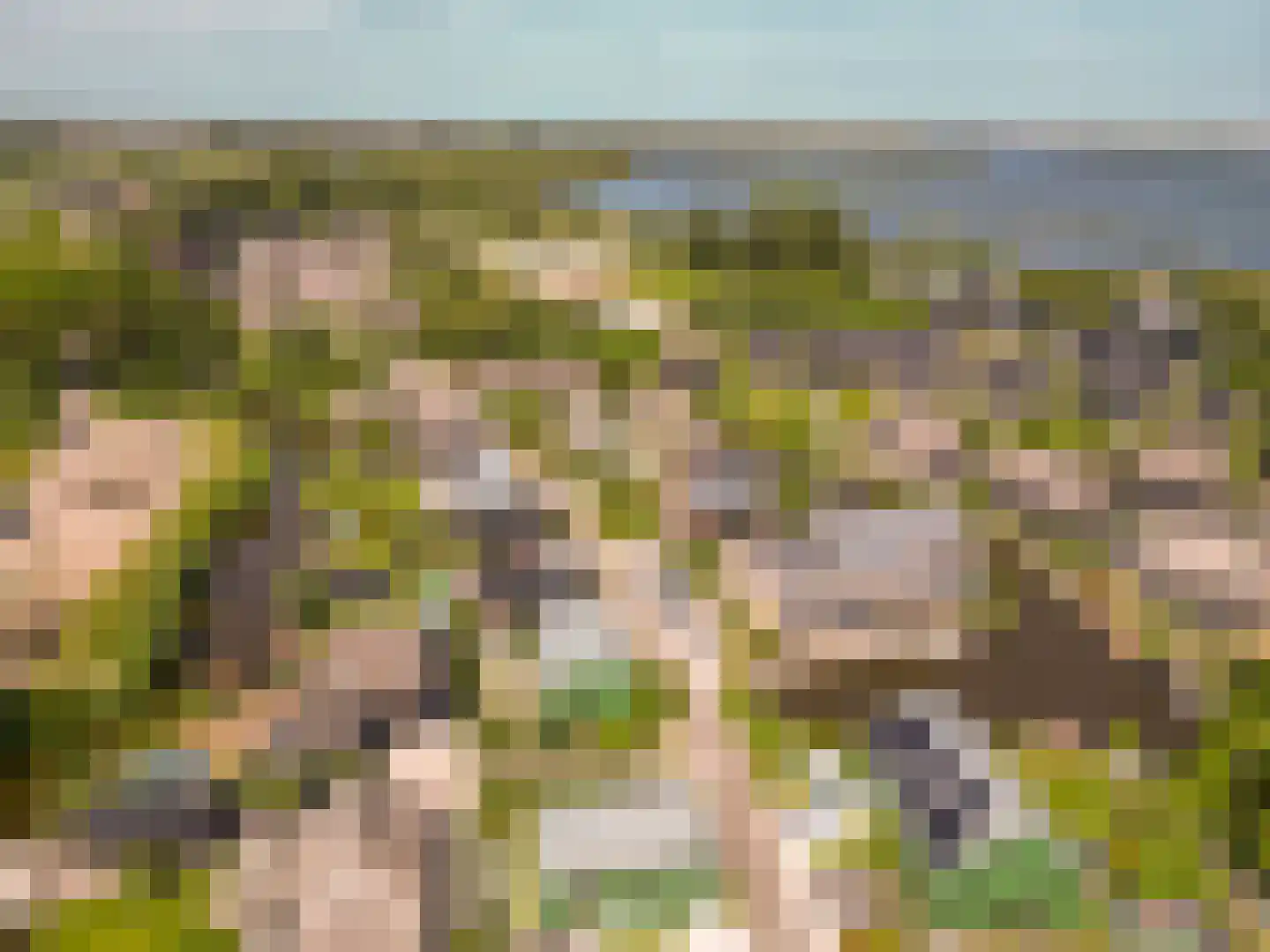 Grote Lijster 9 Muiden thumbnail 76