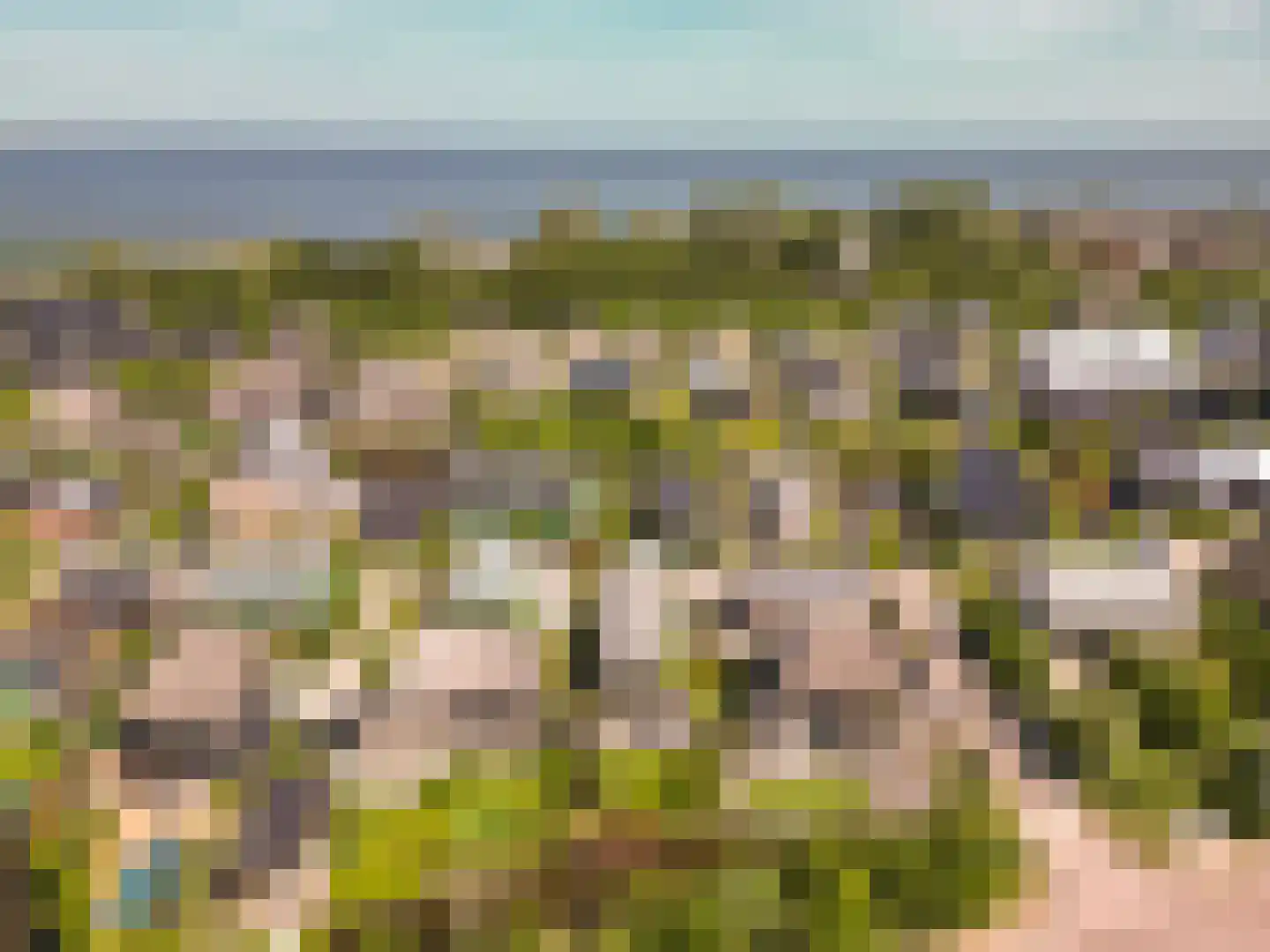 Grote Lijster 9 Muiden thumbnail 77