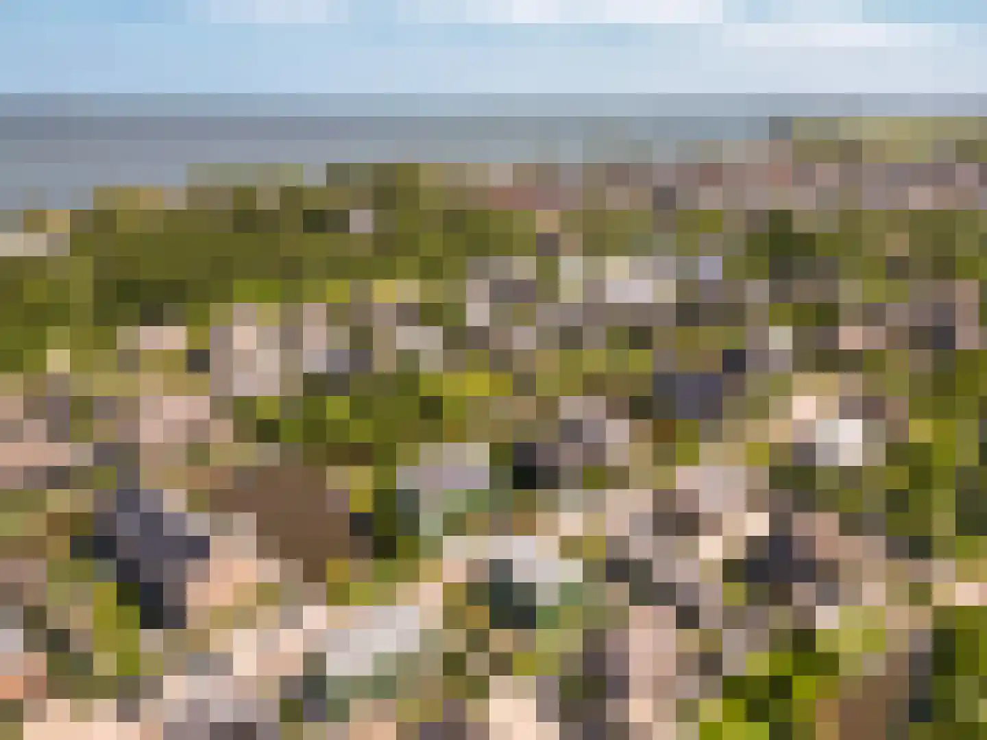 Grote Lijster 9 Muiden thumbnail 78
