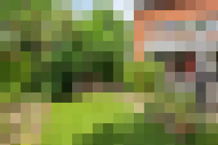 Grote Loef 19 Malden thumbnail 25