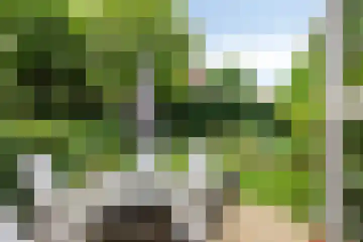 Grote Loef 19 Malden thumbnail 27