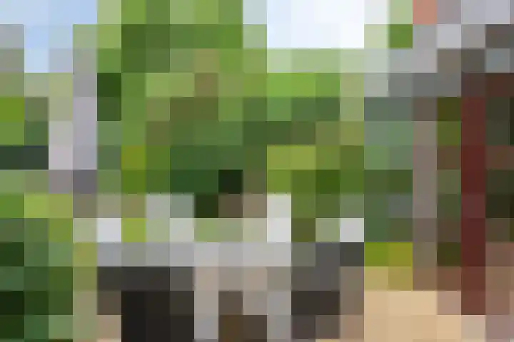 Grote Loef 19 Malden thumbnail 28