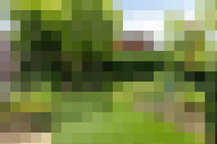Grote Loef 19 Malden thumbnail 30