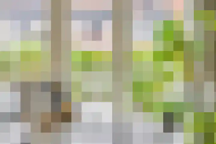 Grote Loef 33 Malden thumbnail 12