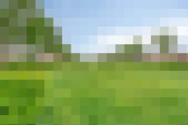 Grote Loef 33 Malden thumbnail 39